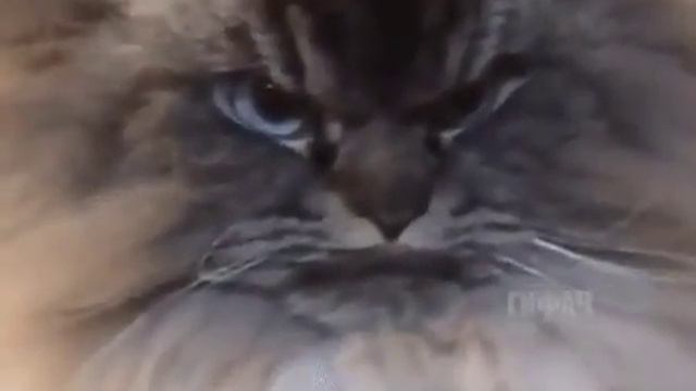 Очень плохое настроение смотреть онлайн