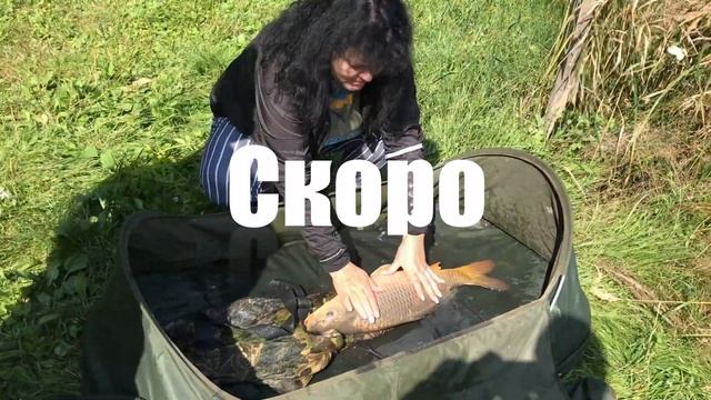 Карпы с Gold Fish Club. Удачная рыбалка смотреть онлайн