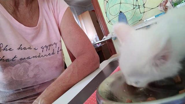 Когда мне плохо,попадается,тот кому ещё хуже 💯 смотреть онлайн