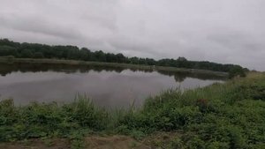 ЗАРЫБЛЕНИЕ ПРУДА ПОКУПКА И ВЫПУСК МАЛЬКА КАРПА.