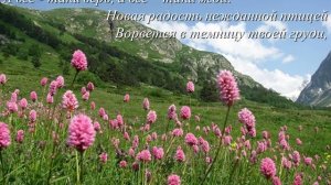 Стихи ФАЗУ АЛИЕВОЙ