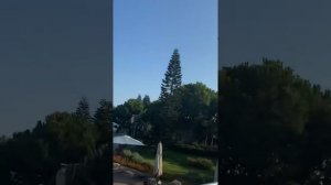 Турция Отель Cornelia diamond golf resort spa. Белек. Отель больше чем 5 звёзд. Рекомендую.