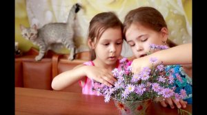 Мама. Рано утром просыпаюсь я от глаз твоих.