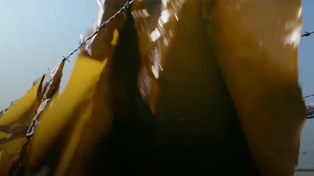 Водоросли — растения, которые производят 80% биомассы на Земле! смотреть онлайн