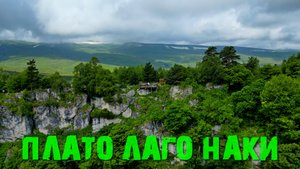 Плато Лаго Наки за две с половиной минуты. #адыгея#лагонаки#Плато_Лаго_Наки
