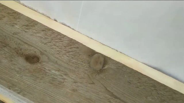 Двухскатная крыша с мансардой не дорого своими руками из профильного листа. Севастополь. Строй батя смотреть онлайн