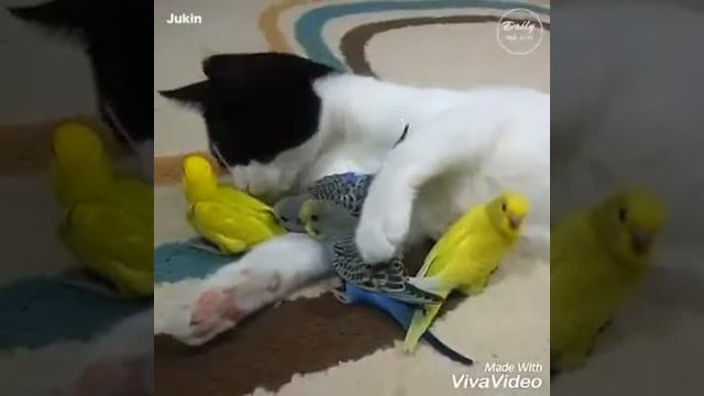 Есть друзья а для них у друзей нет выходных смотреть онлайн