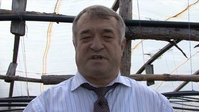 Перекрестное опыление смотреть онлайн