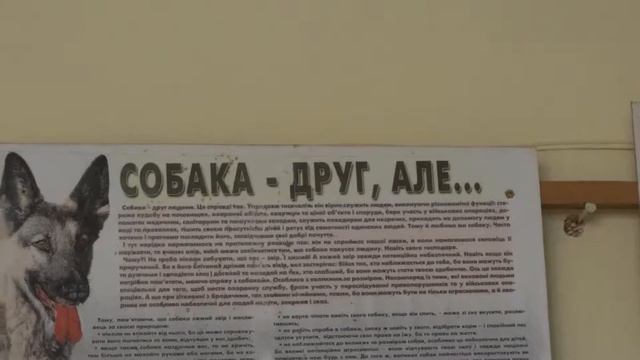 Собака друг - стенгазета 19 мая 2014, Харьков смотреть онлайн