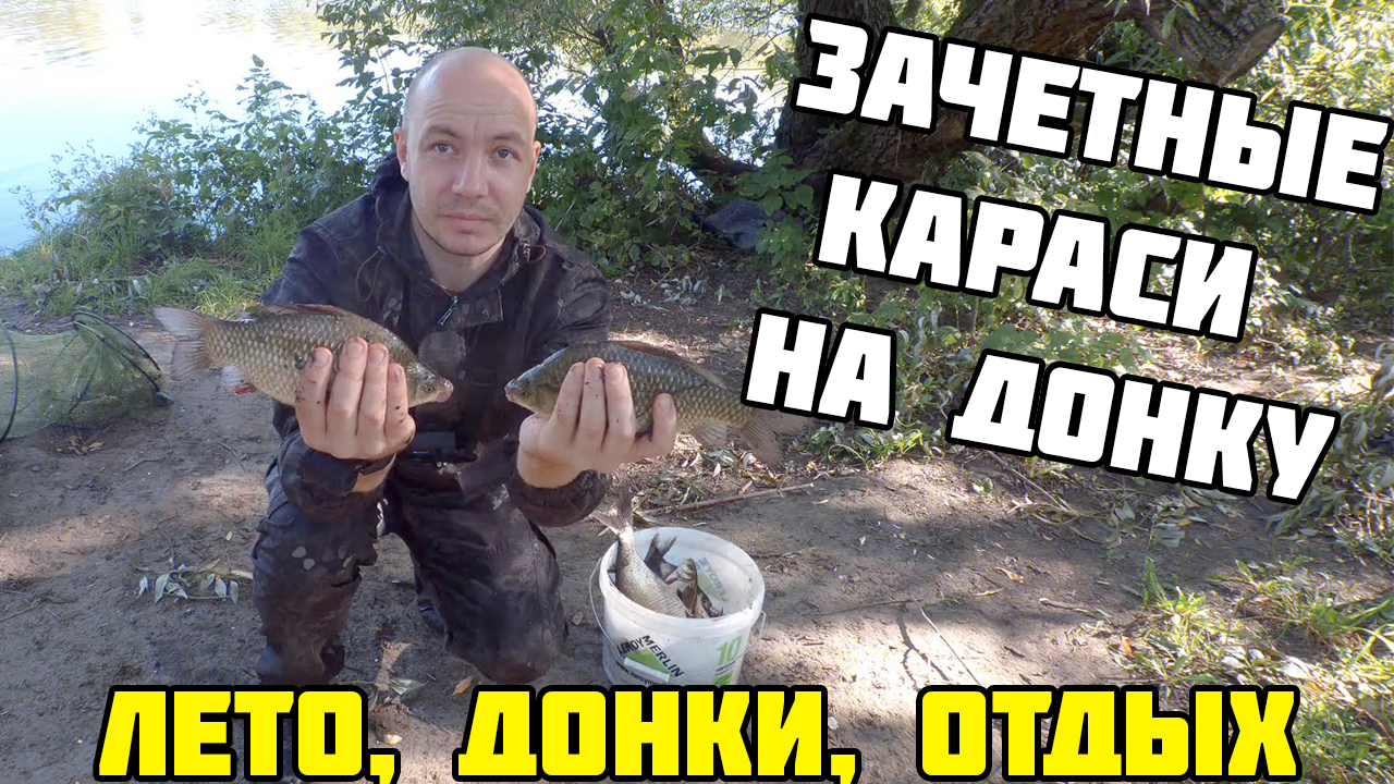 Поймал ОТЛИЧНЫХ КАРАСЕЙ НА ДОНКИ / Рыбалка на донку летом / Рыбалка в московской области. ЧАСТЬ 2