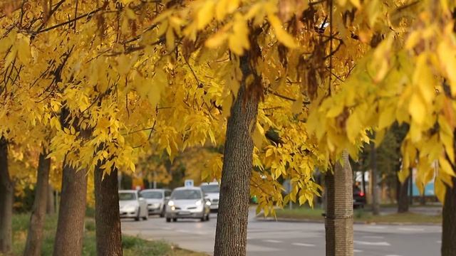 Canon EOS 650D T4i Sample Video - Movie Full HD 1080p / Canon 70-200 f/4L Lens смотреть онлайн