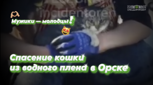 Спасение кошки из водного плена в Орске! 🚣♀