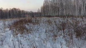 26 ноября.  Святитель Иоанн Златоуст, Константинопольский, архиепископ.