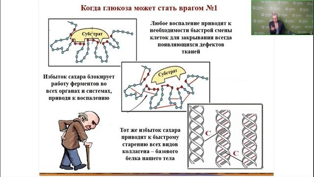 Лекция Н.Г. Байкуловой - Продолжительность жизни человека: мифы и реальность смотреть онлайн