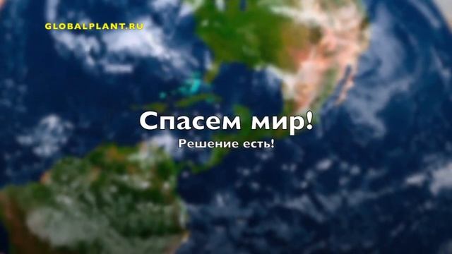 Бизнес по переработке шин