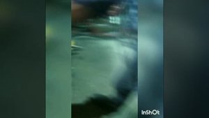 вкладыши федерал могул Димитровград обращение