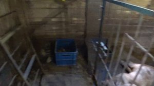 Клетки для свиноматок. ремонт сарая. новые полы