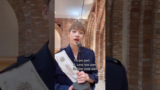 StrayKids TIKTOK videos смотреть онлайн