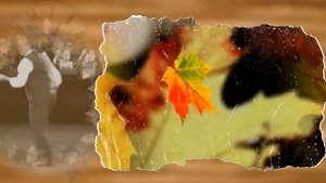 Шалунья Осень