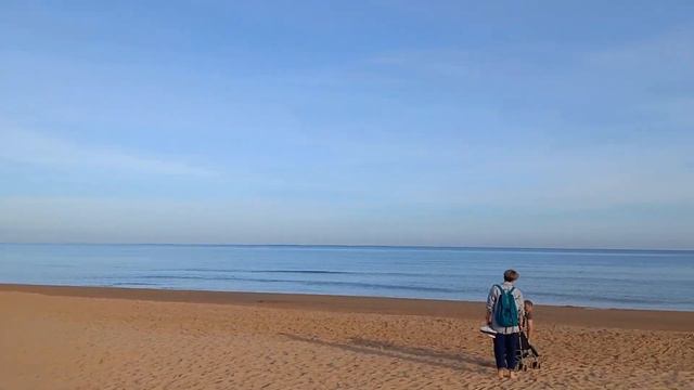 Песчаный ёжик в Испании. Торревьеха 2023. Иммиграция в Испанию. Эмиграция из России.