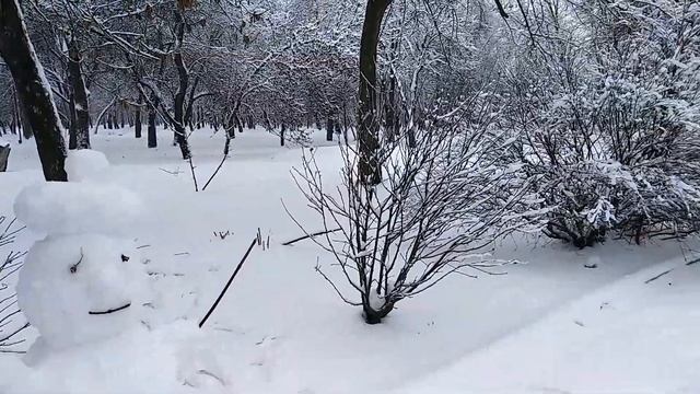 Зимняя сказка в Кропивницком смотреть онлайн