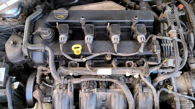 Как стучат заслонки впускного коллектора Мазда 6 GG, 2.0, двигатель LF смотреть онлайн