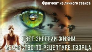 Цвет жизни. Лекарство по рецептуре Творца.
#жизнь #здоровье #гармония