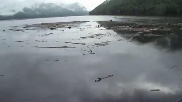 Зейское водохранилище