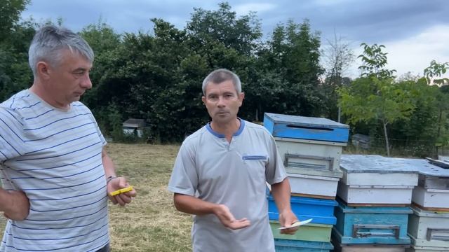 Пасека 500+ и плем материал от лучших заводчиков. смотреть онлайн