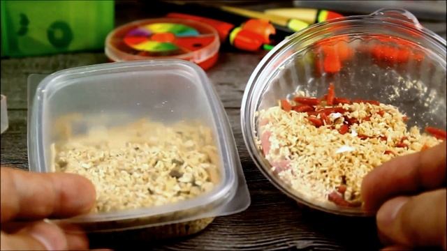 Рыбалка на опарыша.Какой лучше красный или белый. смотреть онлайн