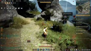 Black desert. Качаем шай с нуля. Ответы на вопросы.