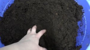 мини ВЕРМИФЕРМА выпуск 1 (заселение старателя)