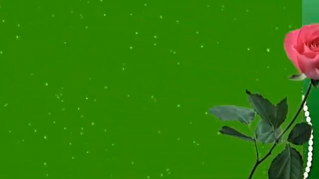 С днем рождения, Валя!
