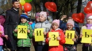 Дети читают стихи про дорожные знаки