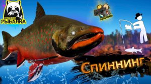 РР4/ рыбалка для души, ловим как универсал, общаемся 17.08.23