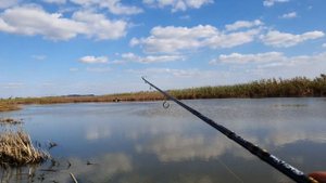 Шапсугское водохранилище, окунь на каждом забросе?