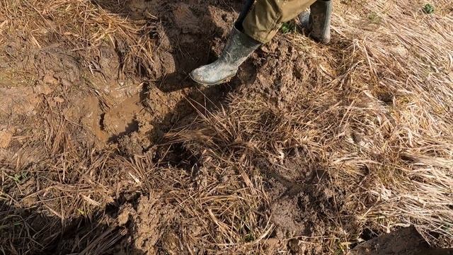 Металлокоп/Накопали железа и нержавейки за несколько часов/Достойный заработок в тяжелые времена.