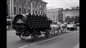 Чёрный пёс - Петербург (Юрий Шевчук)