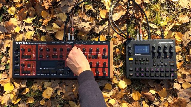 dedkov - Smoothie | Outdoor Live Session | Digitakt + Virus b смотреть онлайн