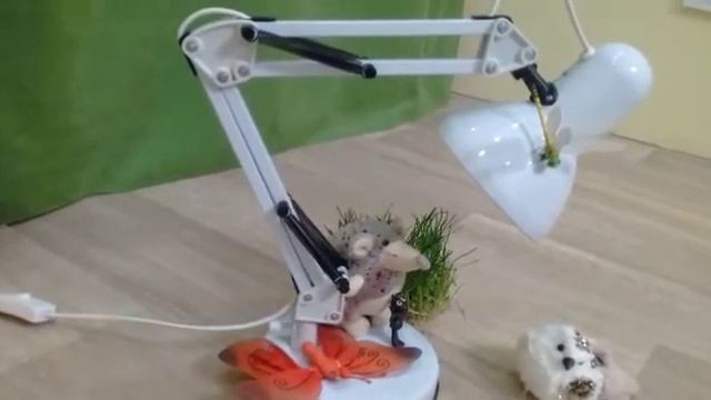 Сказка "Под грибом" смотреть онлайн