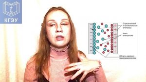 Химия в электроэнергетике: Двойной электрический слой. Ионистор.
