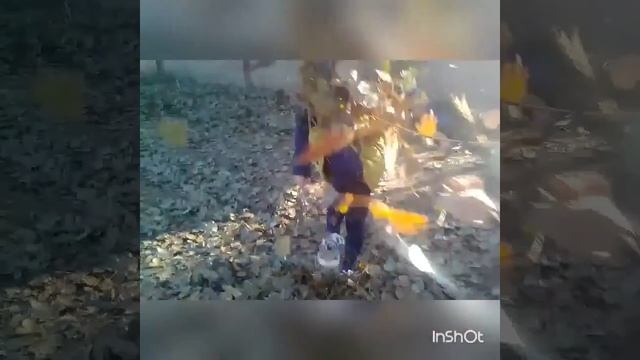 Последний месяц осени #воттакмыегопроводим#