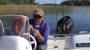 Воблеры для мелководья. Воблеры на береговую щуку