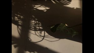 Gueorgui Pinkhassov Workshop Tbilisi 2019 / Георгий Пинхасов МК в Тбилиси