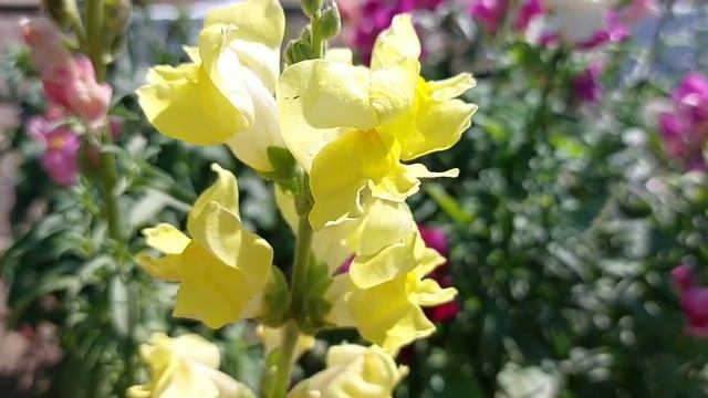 17 ноября Еремин день.  Что нельзя делать в этот день. Народные приметы. смотреть онлайн