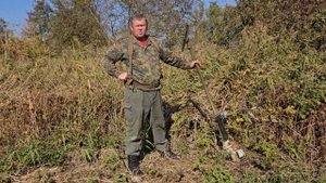 Обзор мульчирующего ножа 350мм на кусторез stihl fs560