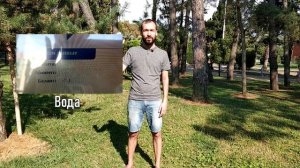 10 ПРИЧИН ПЕРЕЕХАТЬ В ГРУЗИЮ НА ПМЖ (на примере моего переезда из Минска в Батуми в 2019 году)
