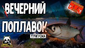 РР4/ рыбалка для души, ловим как универсал, общаемся 18.10.23