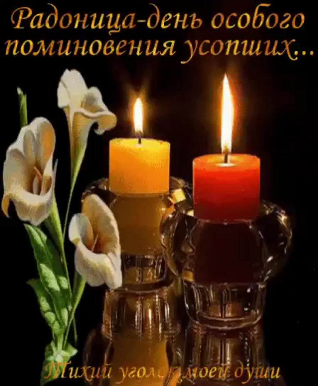 Картинки радоница цветы