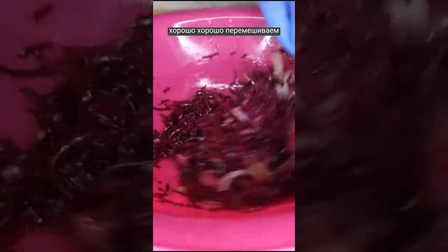 Свекла по-Корейски на зиму. смотреть онлайн